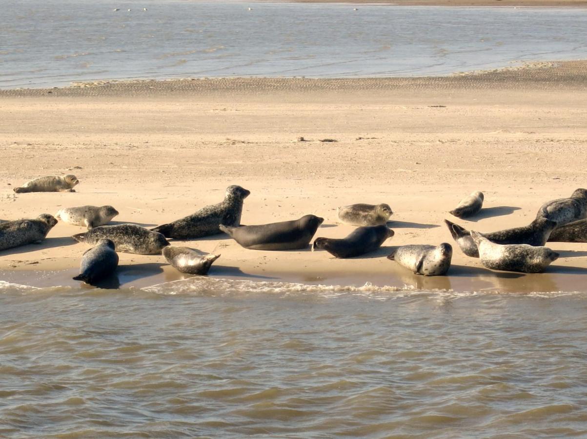 Huus Wattenmeer In Nessmersiel An Der Nordsee Dornum Εξωτερικό φωτογραφία
